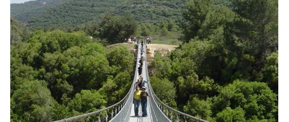 גשרים תלויים בנשר