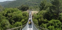 Hanging Bridges in Nesher